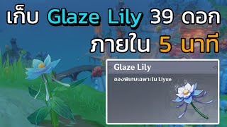 Genshin impact เก็บ Glaze Lily 39 ดอก ภายใน 5 นาที [upl. by Essa]