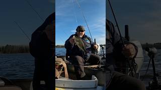 Fall bassin with the KFT fishingshorts minnesotafishing largemouthbass mnfishing [upl. by Falo]