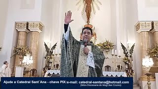 Padre Robson de Oliveira da l Santa Missa na Catedral Diocesana Sant´Ana em Mogi das Cruzes [upl. by Riccio]