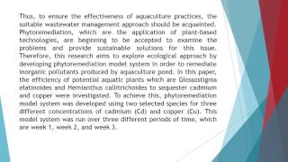 Phytoremediation Model System for Aquaculture Wastewater Using Glossostigma Elatinoides and Hemianth [upl. by Ahcim]