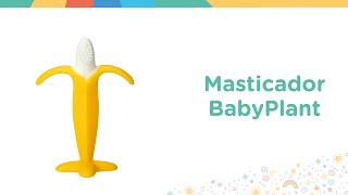 Conoce nuestro masticador BabyPlant [upl. by Lattonia]