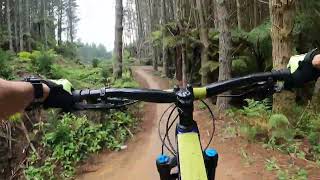 MTB PURO en Rotorua NZ [upl. by Eanert3]