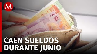 Inegi reporta caída en los sueldos pagados en la industria manufacturera durante junio [upl. by Annohsak238]