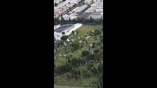 Hollywood Forever Cemetery  Maverick Helicopters [upl. by Assetnoc]