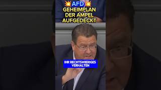 💥WICHTIG💥 AMPEL will heimlich DAS einführen afd ampel bundestag weidel höcke spd diegrünen [upl. by Knoll]