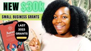 NEW 30K SMALL BUSINESS GRANTS  LAST GRANTS OF 2023  APPLY TODAY [upl. by Odravde188]