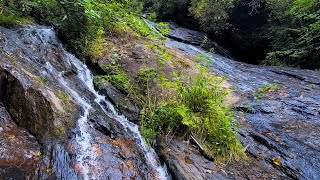 Bushwhacking to Hicks Creek Falls in Rabun County Ga [upl. by Daloris]