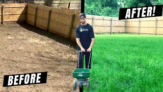 How to Grow a Lawn From Scratch DIY Guide  Lessons Learned [upl. by Devona841]