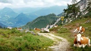 Wandern am Achensee 2012  1 [upl. by Eytteb]