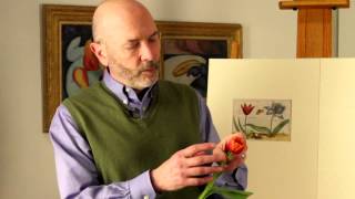 Mark Schlessman on Tulips from quotHortus Floridusquot by Crispijn de Passe II [upl. by Stanley]