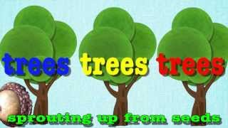 Head Shoulders Knees and Toes for Trees [upl. by Siraf]