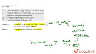 Assertion  Ampullae of lorenzini are found beneath the skin of head region in fishes [upl. by Benedict]