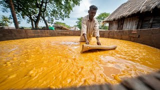 Behind the scenes of Organic Sugar Factory in Village [upl. by Eerej312]