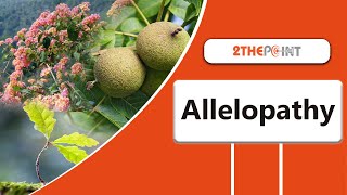 Allelopathy  Everything You Need To Know About it  2THEPOINT [upl. by Zimmer73]