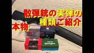 本物、散弾銃の実弾の種類ご紹介 [upl. by Morra]