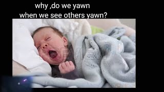 why we yawn when we see others yawning [upl. by Dasteel]