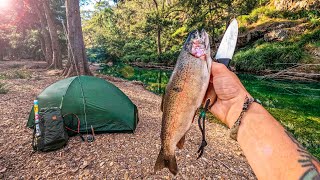 Solo Camping amp Mountain Fly Fishing Trout Catch amp Cook [upl. by Diba]