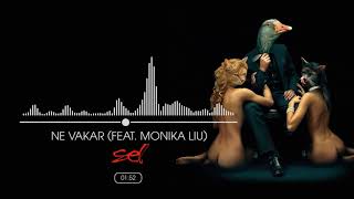 SEL  Ne Vakar Feat Monika LiuOfficial Audio [upl. by Warrenne]