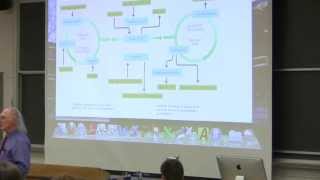 35 Biochemistry Lecture Nitrogen and Amino Acid Metabolism from Kevin Aherns BB 350 [upl. by Foley]