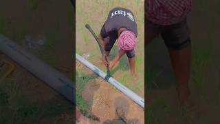 🔥Mini Sprinkler system 💯Mini Sprinkler shorts shortvideo trendingshorts [upl. by Catarina]