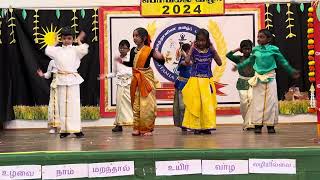 Pongal program [upl. by Haimirej]