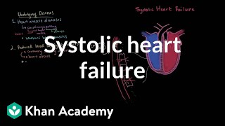 Systolic heart failure pathophysiology  Circulatory System and Disease  NCLEXRN  Khan Academy [upl. by Handal162]