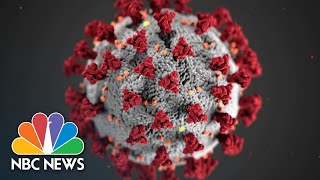 Arizona Man Dies After Taking Toxic Ingredient In Attempt To Prevent Coronavirus  NBC Nightly News [upl. by Nylirek]