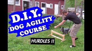 BUILT OUR OWN DOG AGILITY COURSE  AUSTRALIAN CATTLE DOG [upl. by Swanhildas245]