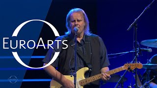 50 Jazzwoche Burghausen 2019 Walter Trout Trailer [upl. by Negris]