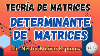 DETERMINANTE DE UNA MATRIZ [upl. by Kip]