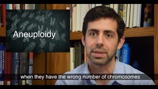 Relationship between incorrect chromosome number and cancer is reassessed [upl. by Aynekat528]