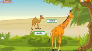 Every Type of Hoofed Mammal Explained Animal Science for Kids [upl. by Swartz796]