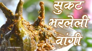 सुकट भरलेली वांगी  SUKAT BHARLELI VANGI FULL RECIPE  AUTHENTIC MAHARASHTRIAN FOOD RECIPE [upl. by Varney688]