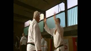 Shaolin Kempo Krefeld beim Budoclub Roter Drache [upl. by Avlem]