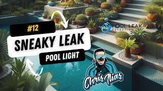 Sneaky Leak 12 [upl. by Saba]