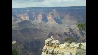 Death defying feats at the Grand Canyon [upl. by Ashla829]