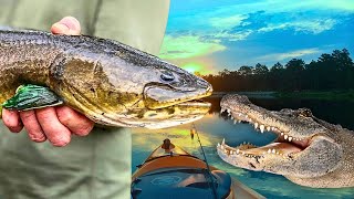 Catching a River Monster that Nearly Destroyed My Kayak [upl. by Airetas412]