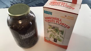 Back to the Roots Windowsill Tomato Planter Unboxing and Seed Starting Tutorial [upl. by Gelya]