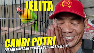 PERNAH MENAKLUKAN CANDI PUTRI [upl. by Goulet]