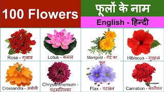 Flowers Name with Hindi Meaning amp Pronunciation  फूलों के नाम हिंदी अर्थ और इंग्लिश उच्चारण के साथ [upl. by Jemima286]