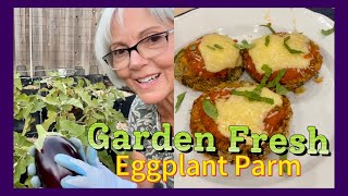 Yard to Table Air Fryer Eggplant Parmigiana with Fresh Organic Eggplant [upl. by Yrrak]