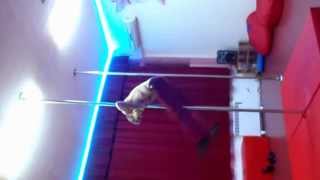 Anastasia Sokolova amp Dmitry Politov 2013 pole fun [upl. by Veron]