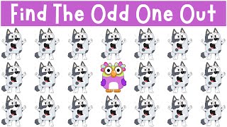 Find The Odd One Out Bluey amp Bingos Friends [upl. by Airdni]