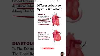 Systolic vs Diastolic Blood Pressure 101 [upl. by Annora835]