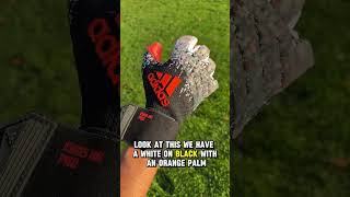 PREDATOR PRO EVDS GOALKEEPER GLOVES goalkeeper [upl. by Nyllewell]