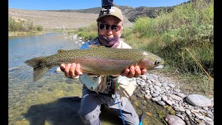 San Juan River Epic Fishing Report June 2024 [upl. by Nyrmac]