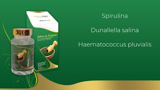 Mikroalgák Spirulina alga Dunaliella salina alga Haematococcus pluvialis alga [upl. by Nairde537]