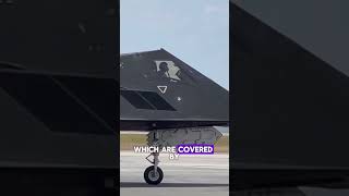 The F117 stealth airplane [upl. by Andryc]