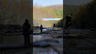 Exploring Dolly Sods Wilderness hiking nature camping adventure backpacking [upl. by Ahsiekam]