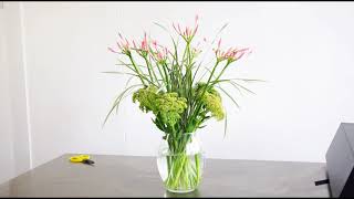 Jane Packer Vase Arrangement Nerines amp Sedum [upl. by Suivatal144]